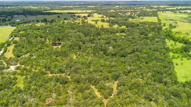 $574,900 | 729 County Road 4040, Crockett, TX 75835