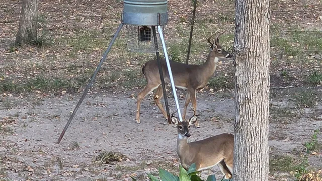 a view of a livingroom with furniture window and wooden floor