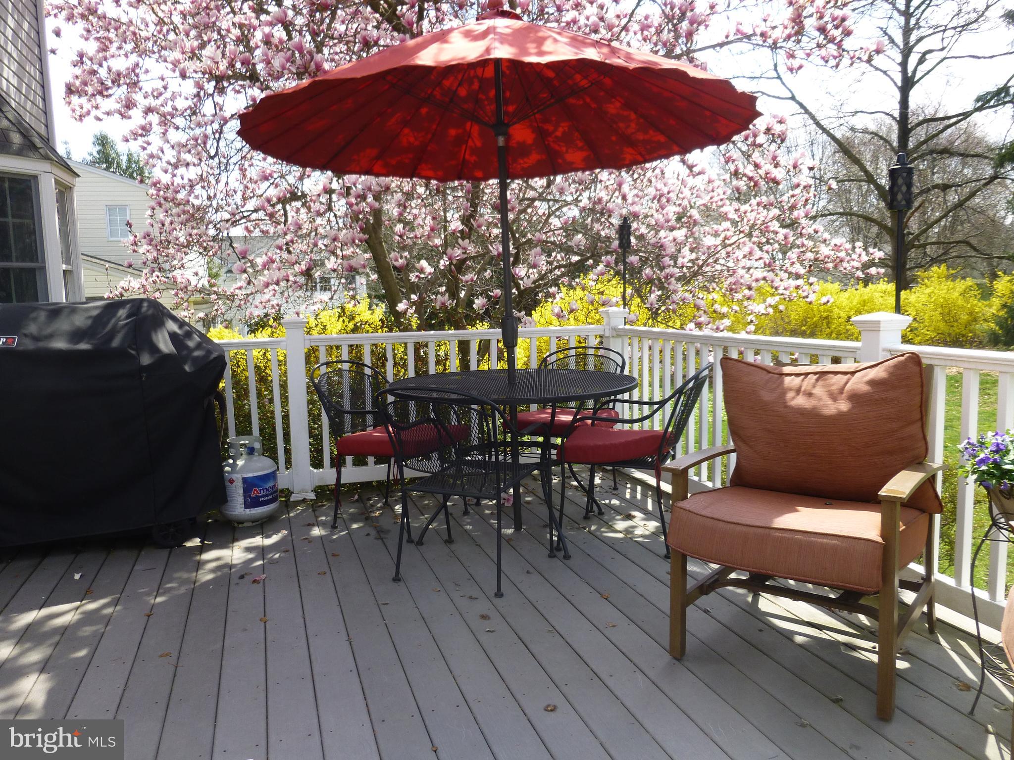 109 Crestview Road Hatboro, PA 19040 - Photo 6 of 35 Trex Deck - right off Kitchen Slider