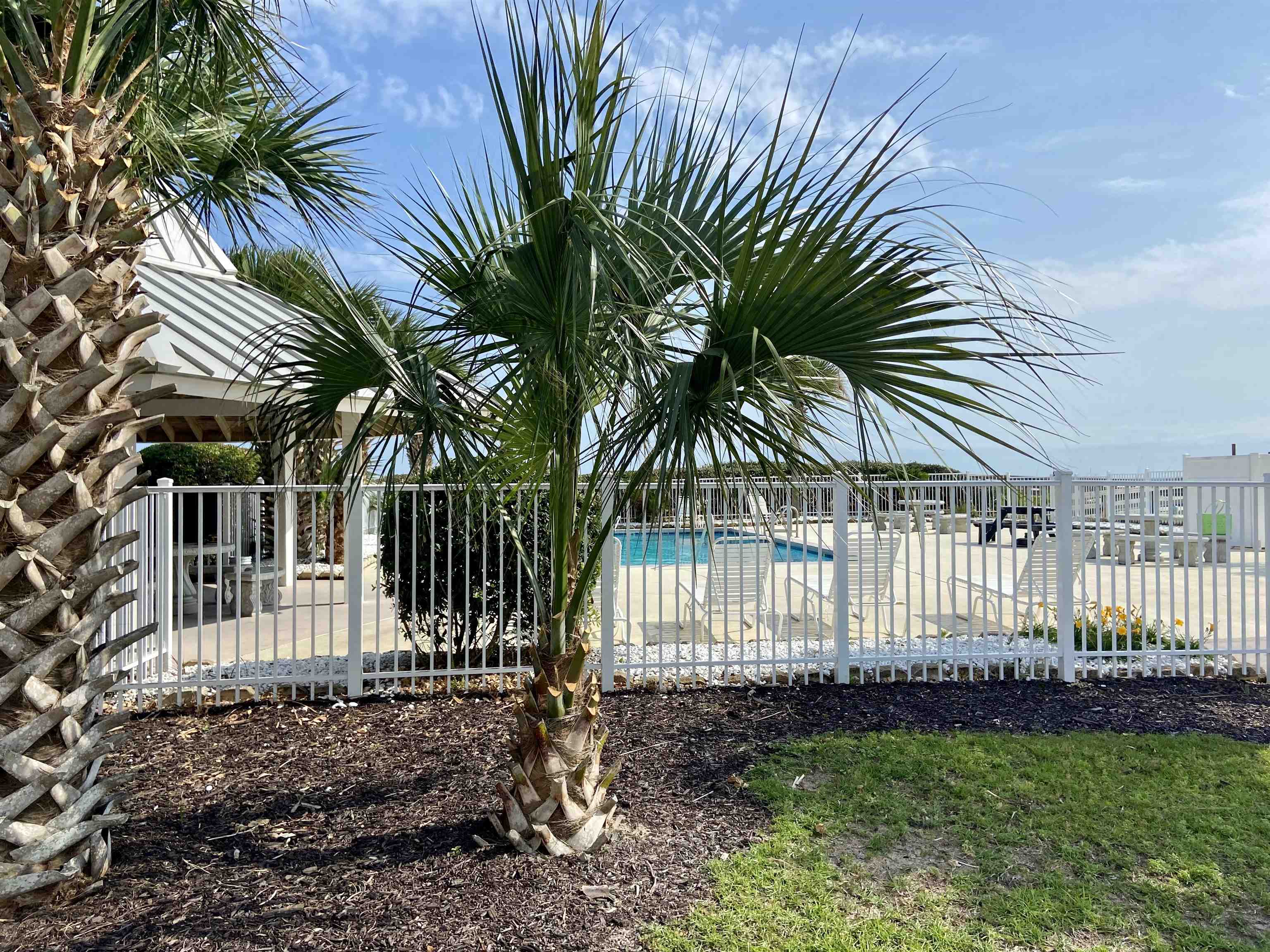 400 Plantation Road, Unit 4209 Gulf Shores, AL 36542 - Photo 23 of 27 Pool