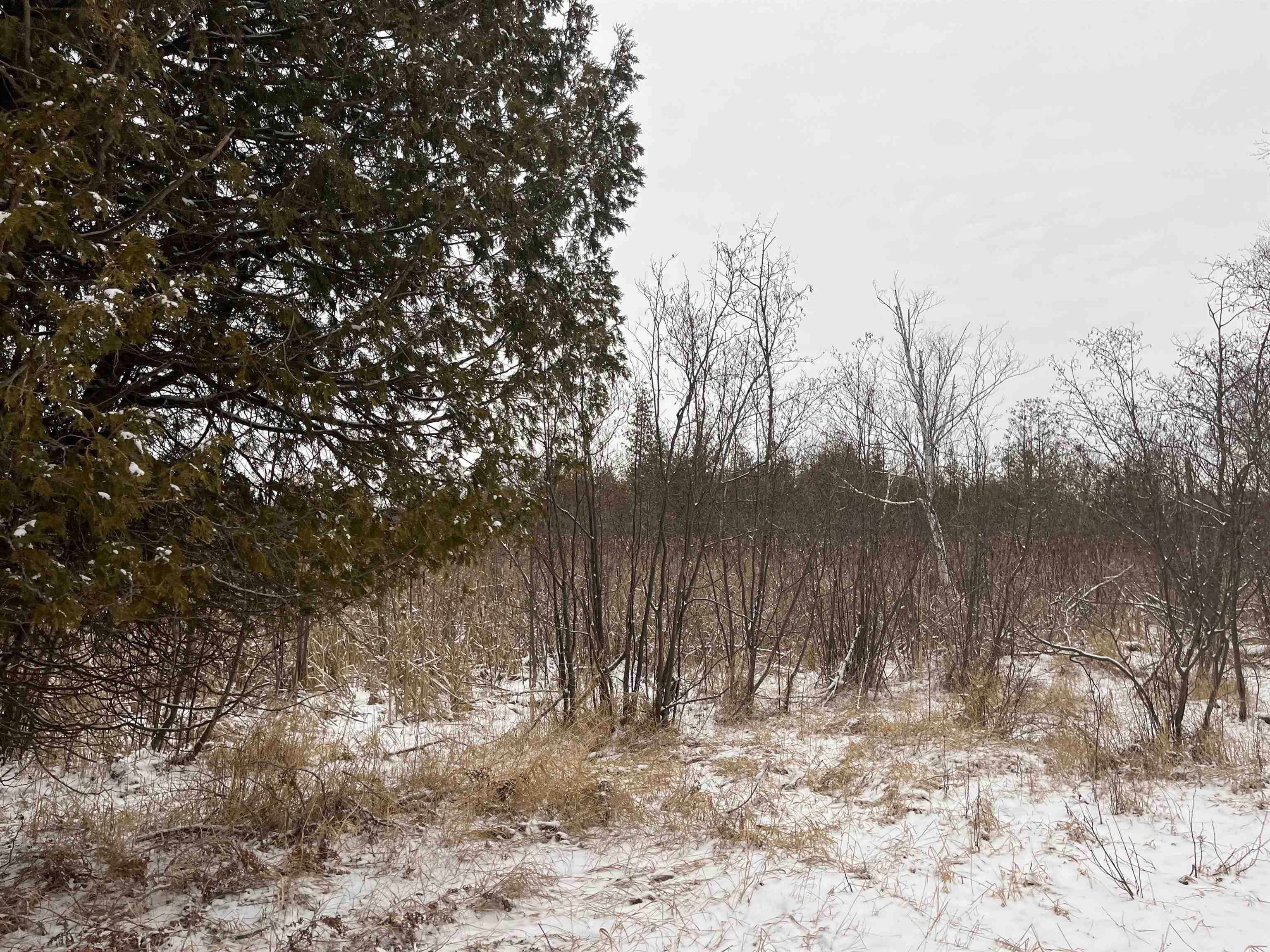 5311 Lakeshore Road Manistee, MI 49660 - Photo 12 of 37