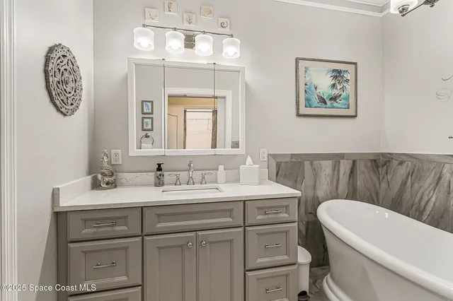 a view of a park with large trees