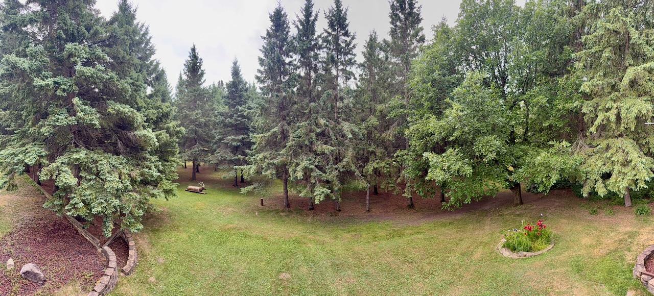 10261 Wien Road Cook, MN 55723 - Photo 50 of 58 Gallery Image 50