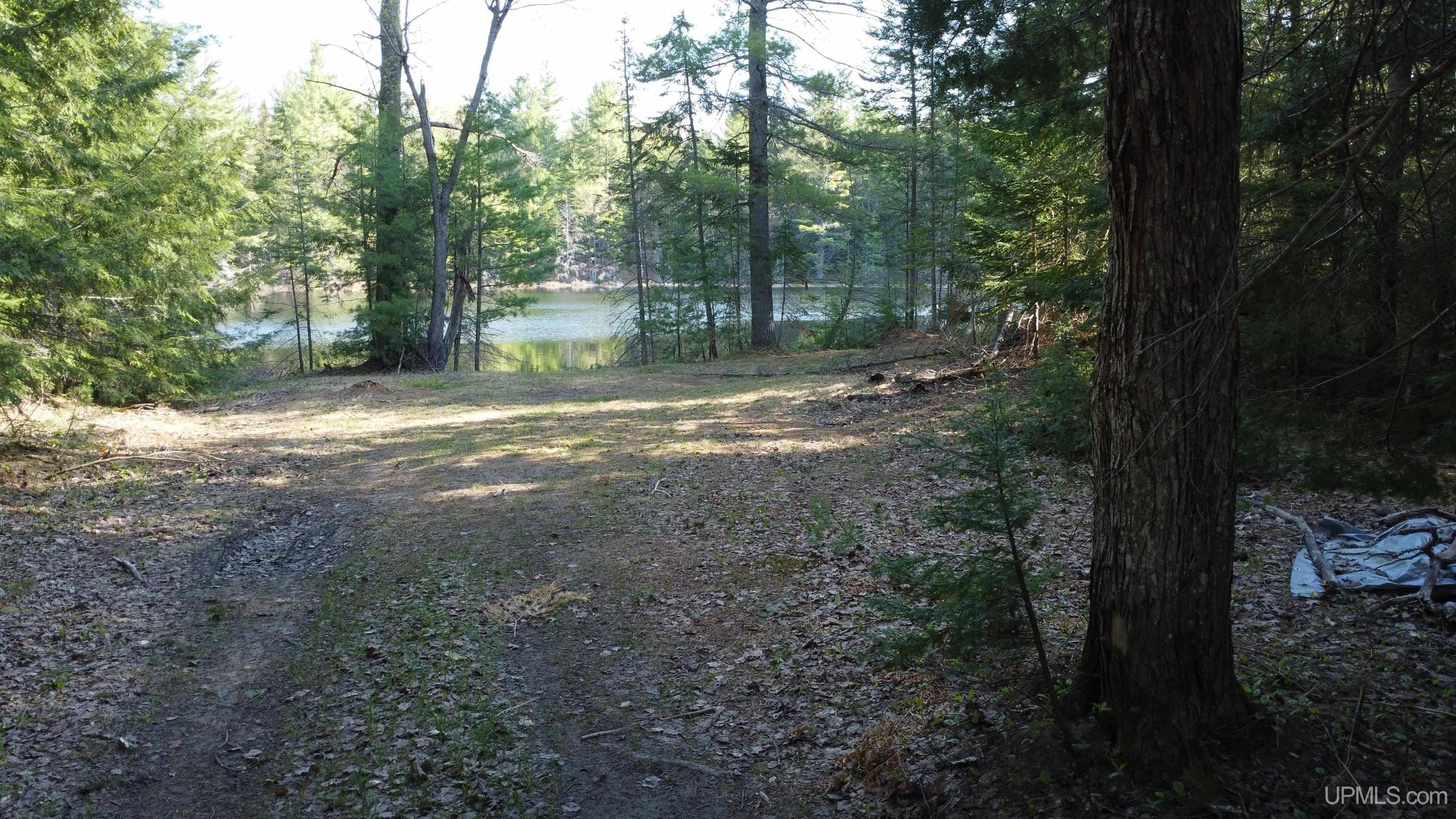 On Wolf Lake Road McMillan, MI 49853 - Photo 23 of 37