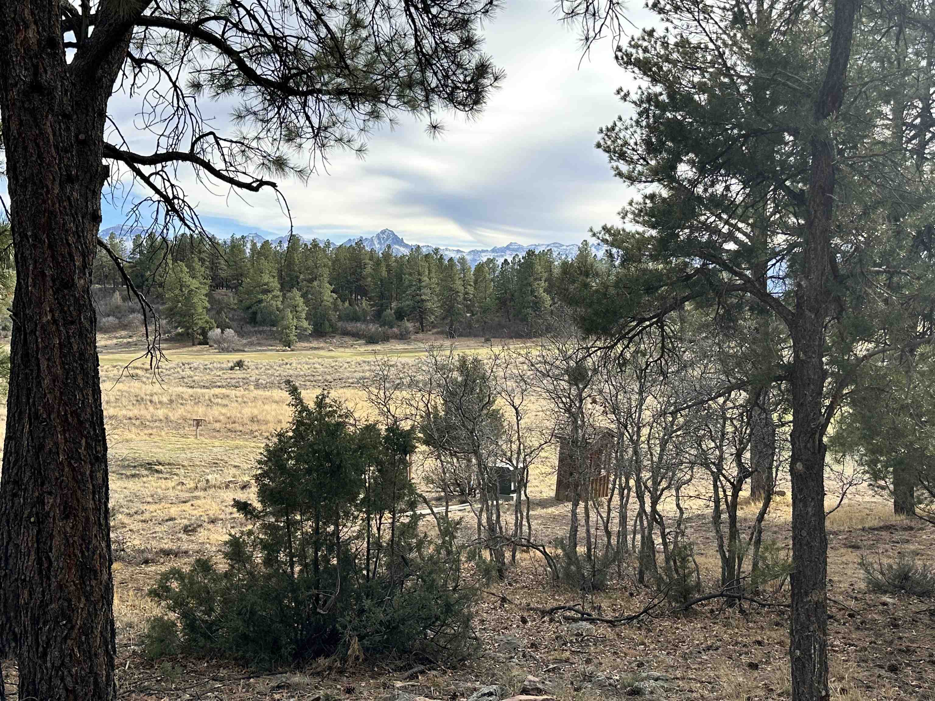 46 Marmot Drive Ridgway, CO 81432 - Photo 8 of 13