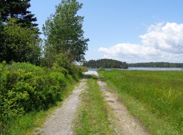 284 Mooseneck Road Addison, ME 04606 - Photo 7 of 42 DSC04800