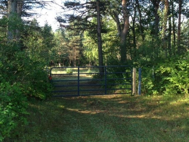 5061 Polk Road Remus, MI 49340 - Photo 5 of 10 Access/Gate