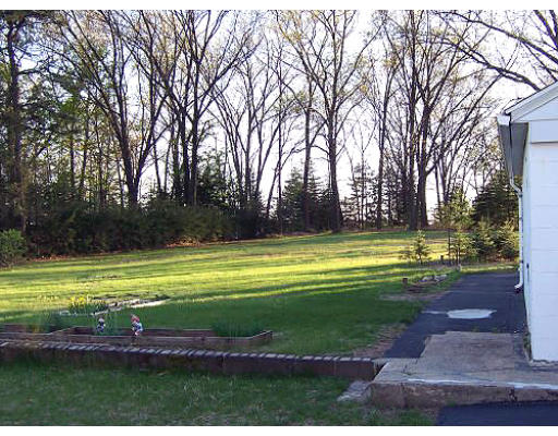 154 Fiberloid Street Springfield, MA 01151 - Photo 7 of 8 a view of a park with large trees