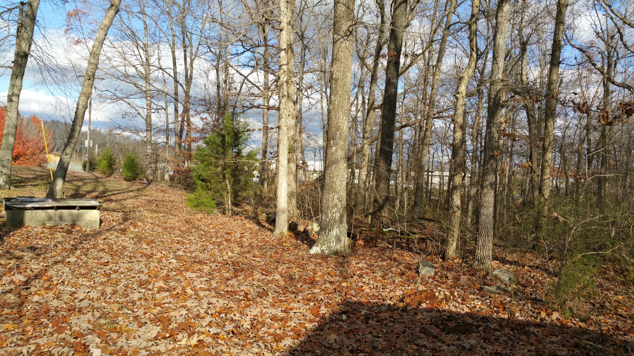 150 Sylvis Road Dickson, TN 37055 - Photo 12 of 61 a view of a backyard of the house