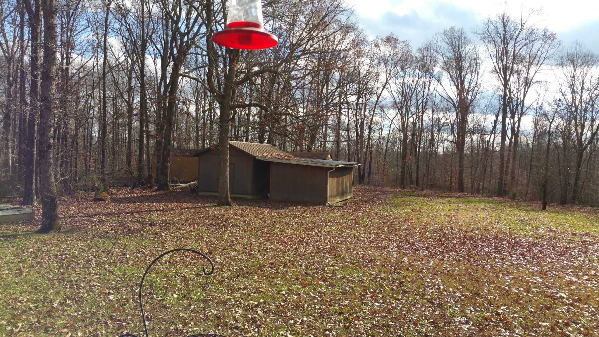 150 Sylvis Road Dickson, TN 37055 - Photo 15 of 61 a view of a backyard with a tree