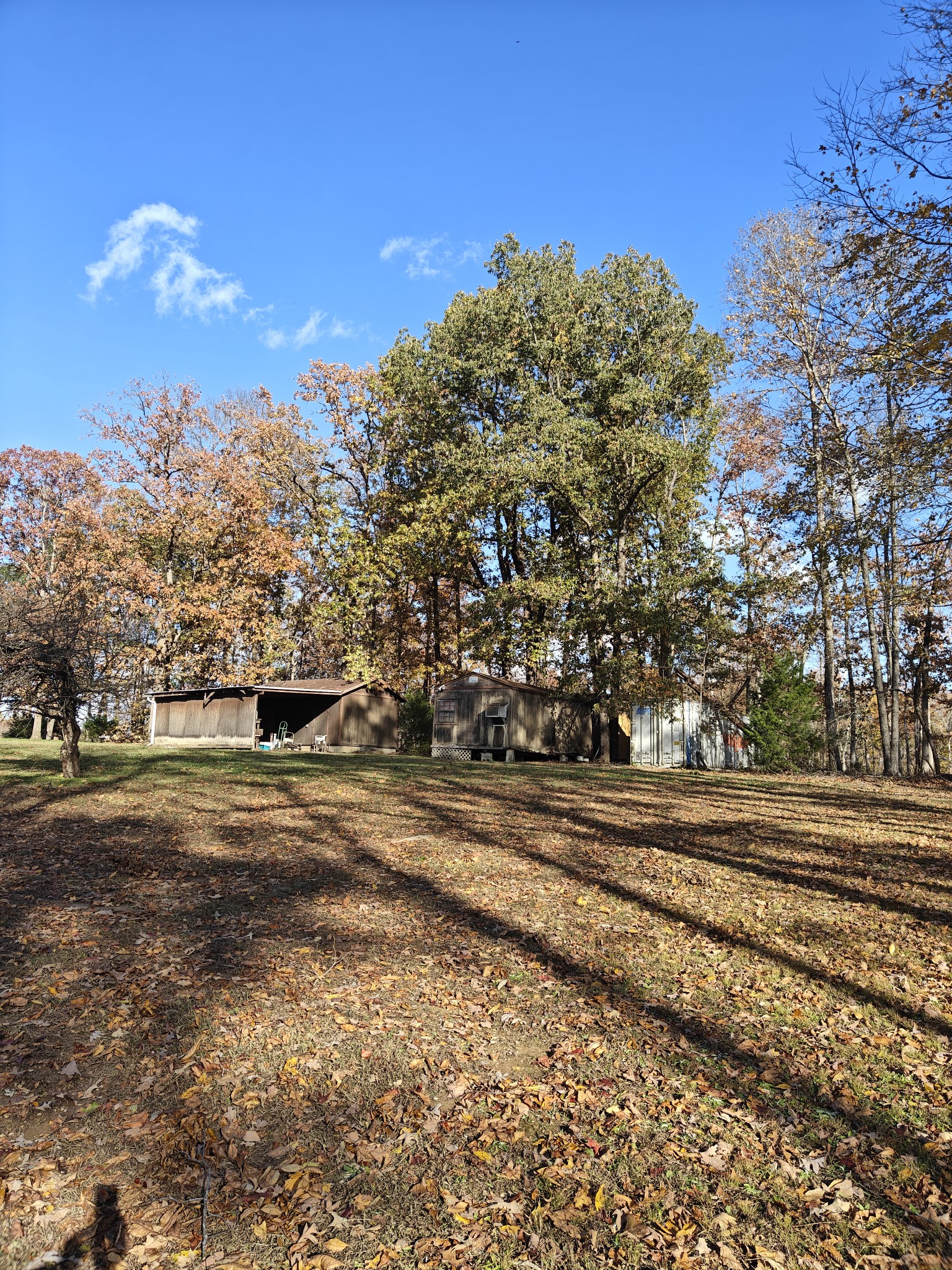 150 Sylvis Road Dickson, TN 37055 - Photo 18 of 61