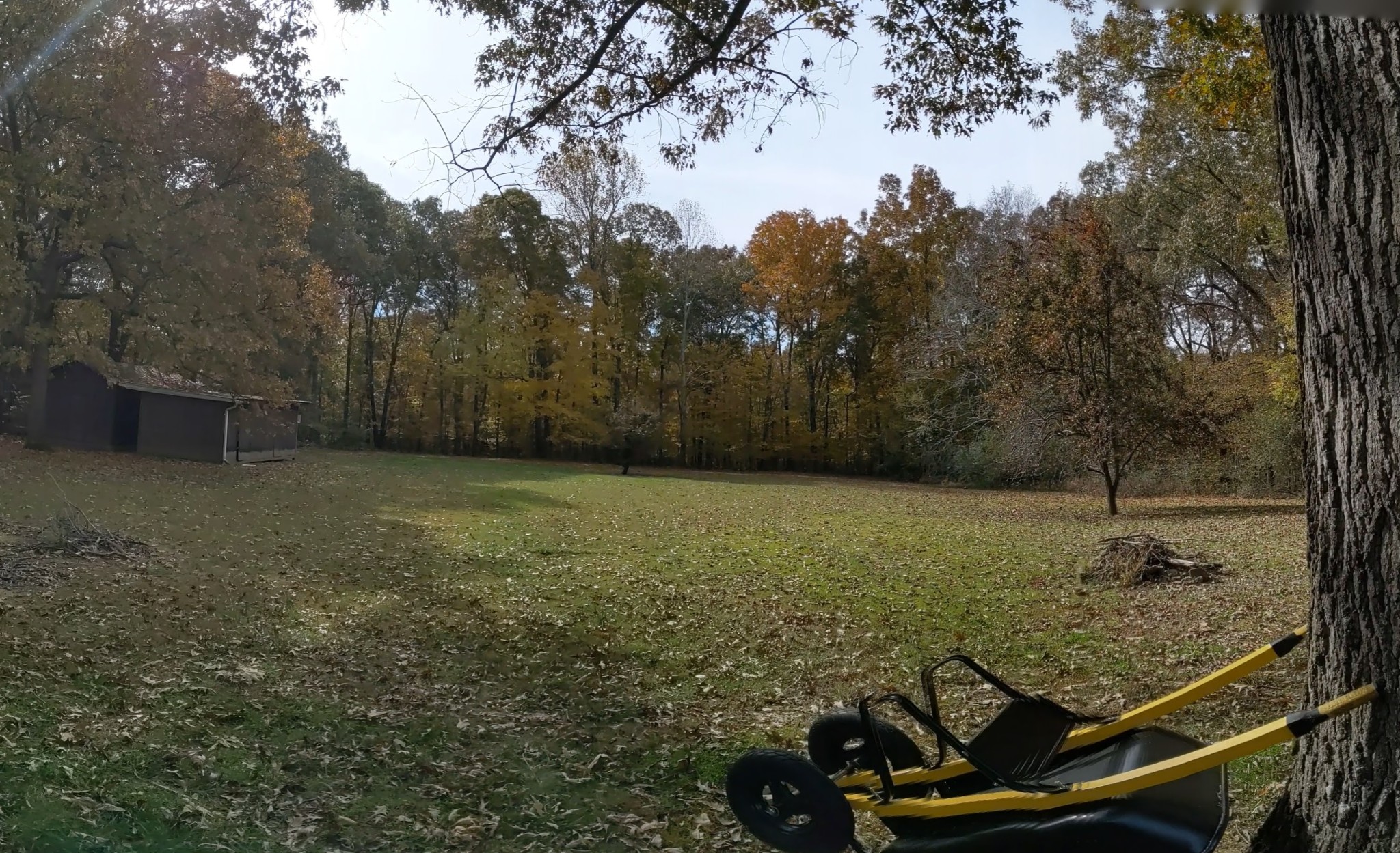 150 Sylvis Road Dickson, TN 37055 - Photo 43 of 61 a view of a backyard with trees