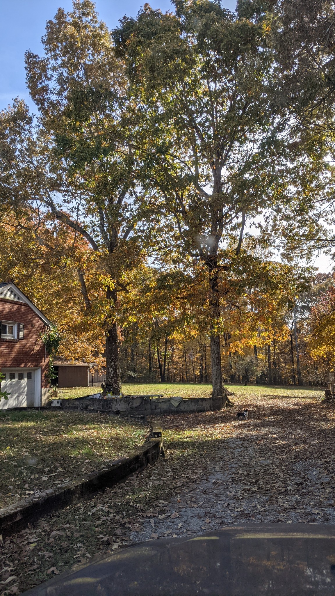 150 Sylvis Road Dickson, TN 37055 - Photo 49 of 61