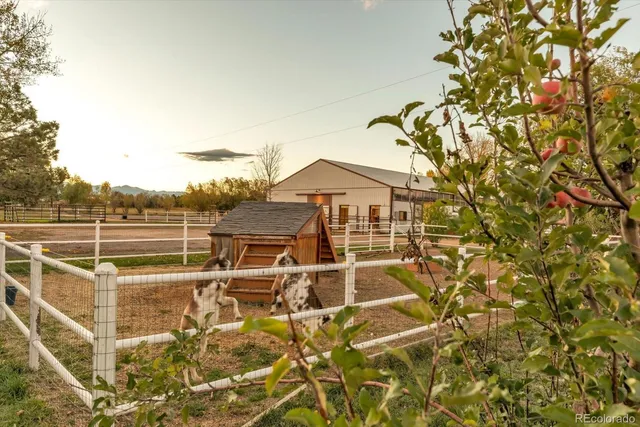 a view of a house with backyard patio and backyard