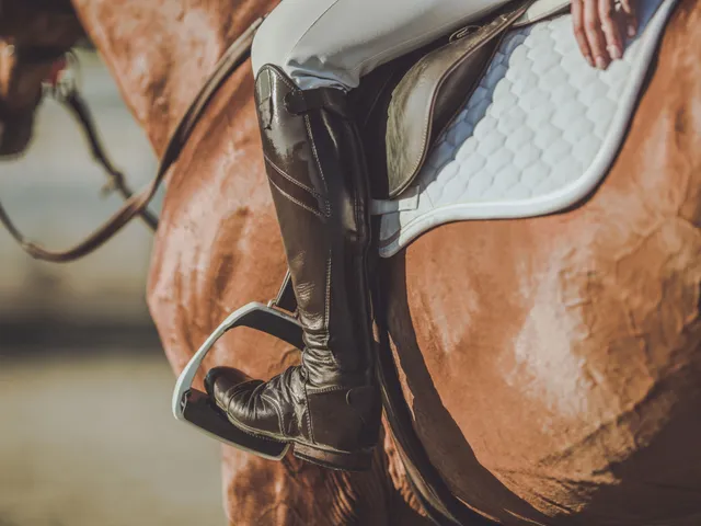 $1,500,000 | 1544 Eastover Road, Lebanon, TN 37090