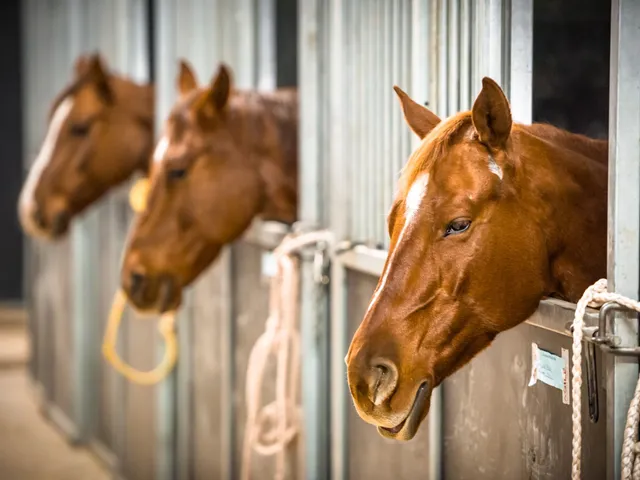 $1,500,000 | 1544 Eastover Road, Lebanon, TN 37090