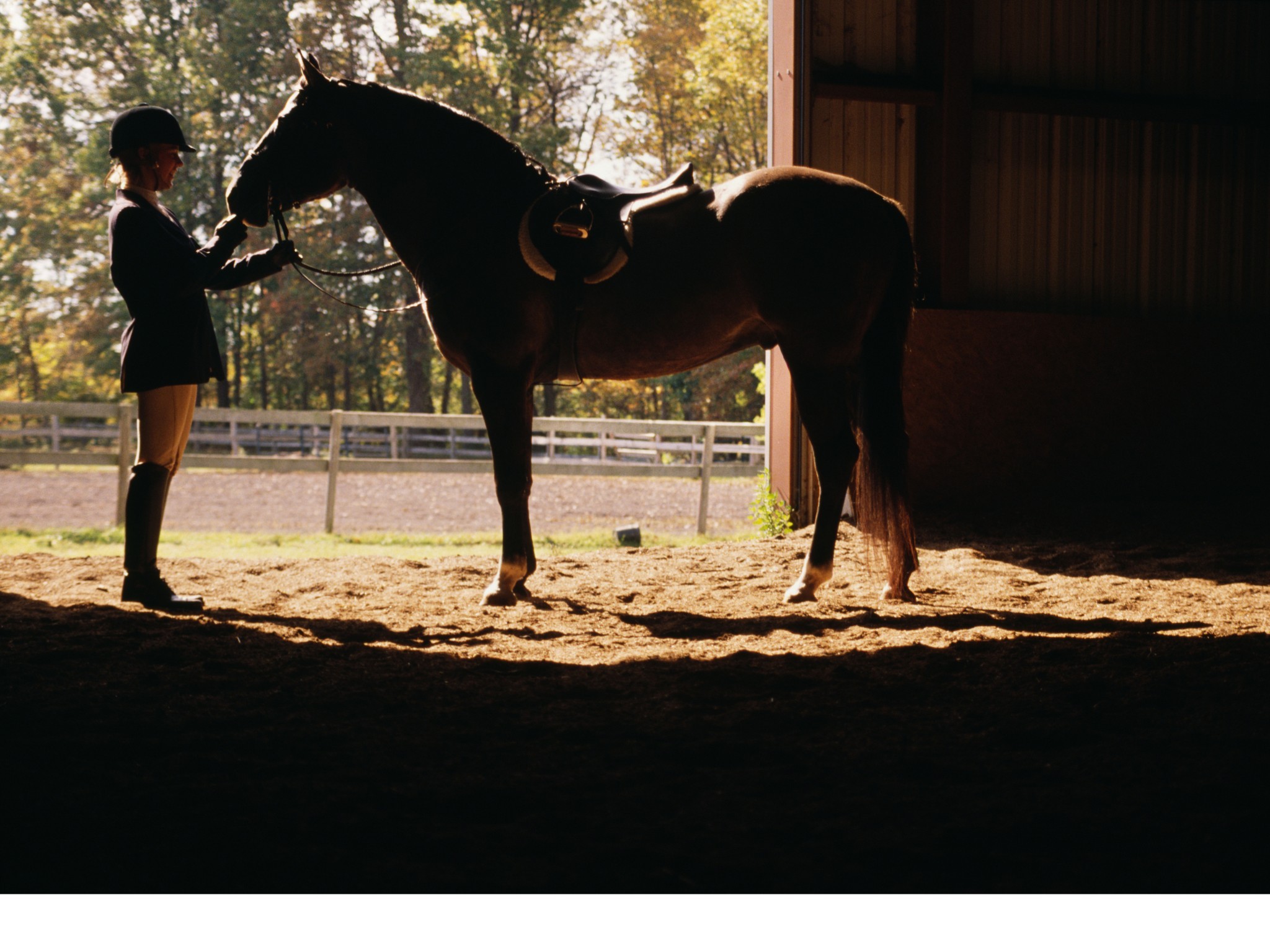 1544 Eastover Road Lebanon, TN 37090 - Photo 84 of 94 Gallery Image 84