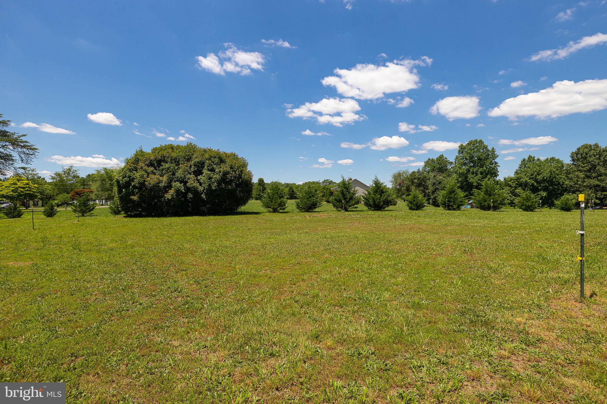 207 Willis Proffitt Road Mineral, VA 23117 - Photo 12 of 34 Gallery Image 12