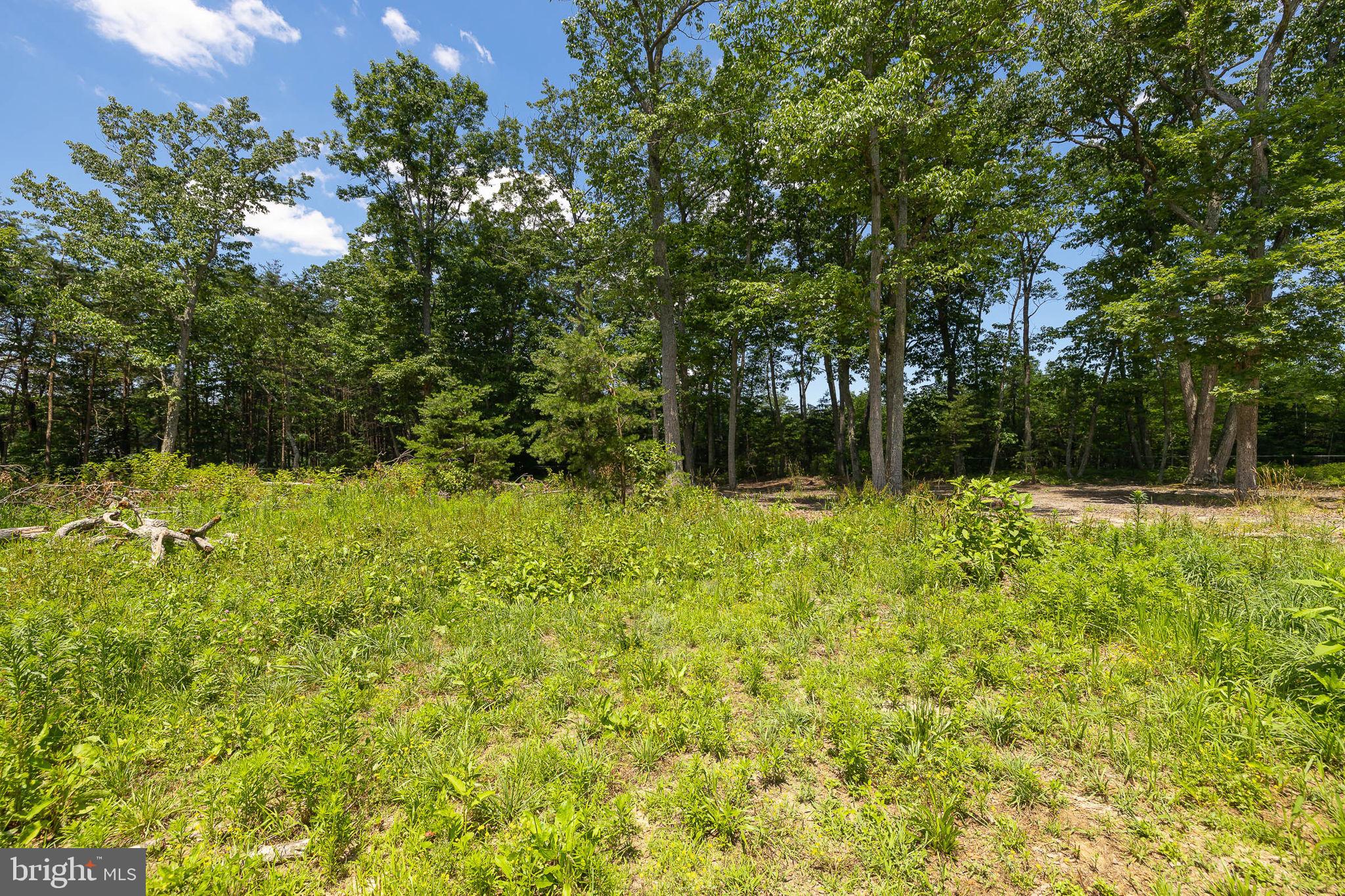 207 Willis Proffitt Road Mineral, VA 23117 - Photo 7 of 34 Gallery Image 7