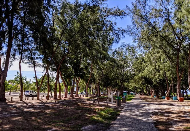 a view of road with trees