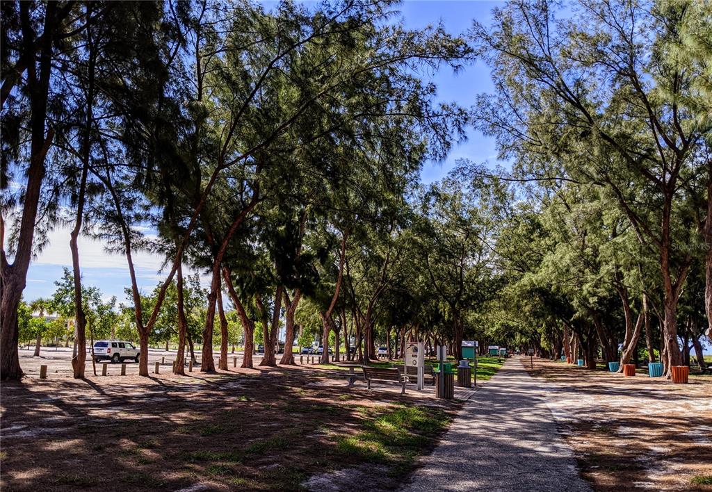 5908 17th Street West, Unit C36 Bradenton, FL 34207 - Photo 23 of 28 a view of road with trees