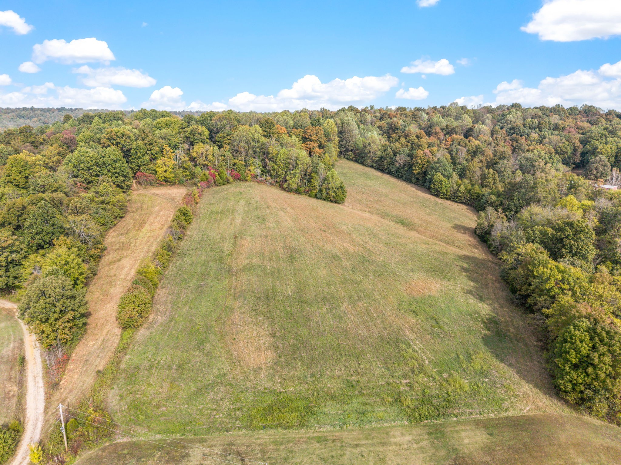 0 Antioch Road Hopkinsville, KY 42240 - Photo 9 of 17