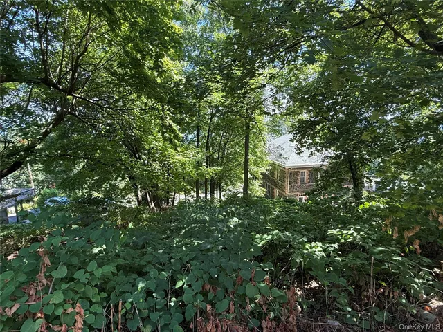 a view of a house with a tree
