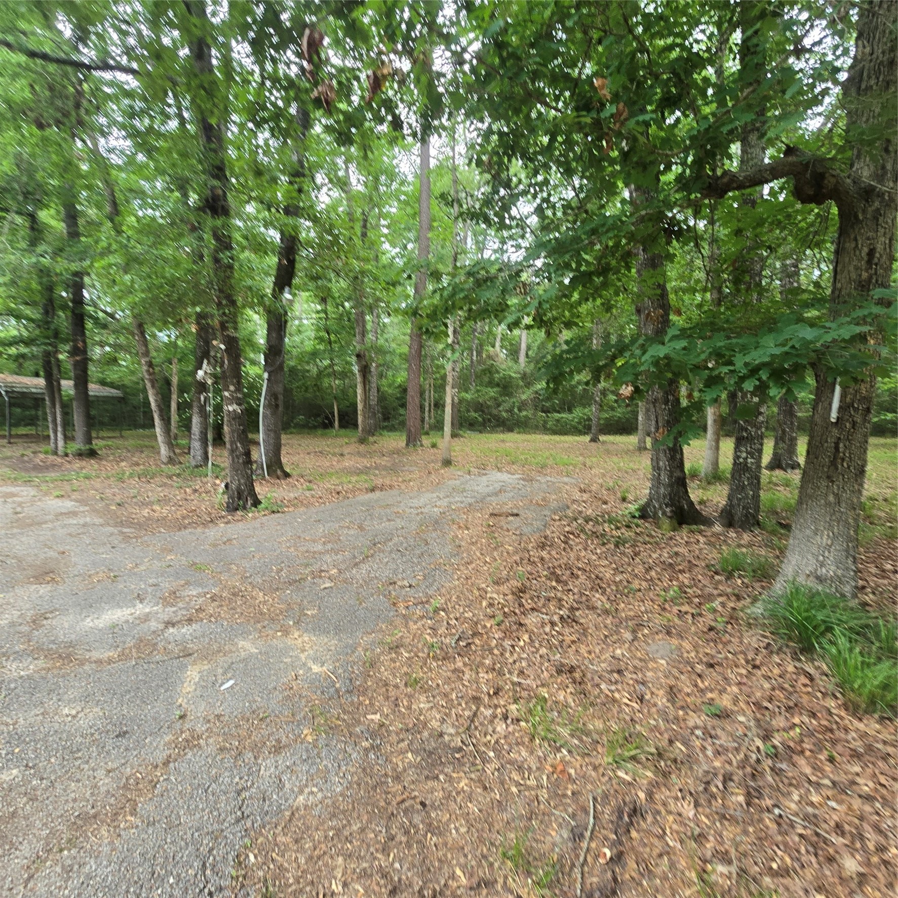 910 Ragsdale Springs Road Shepherd, TX 77371 - Photo 27 of 32