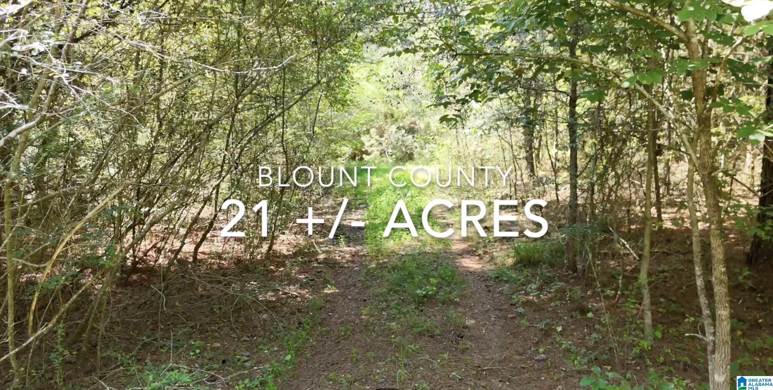 100 McCoy Mountain Road, Unit 1 Hayden, AL 35079 - Photo 1 of 4
