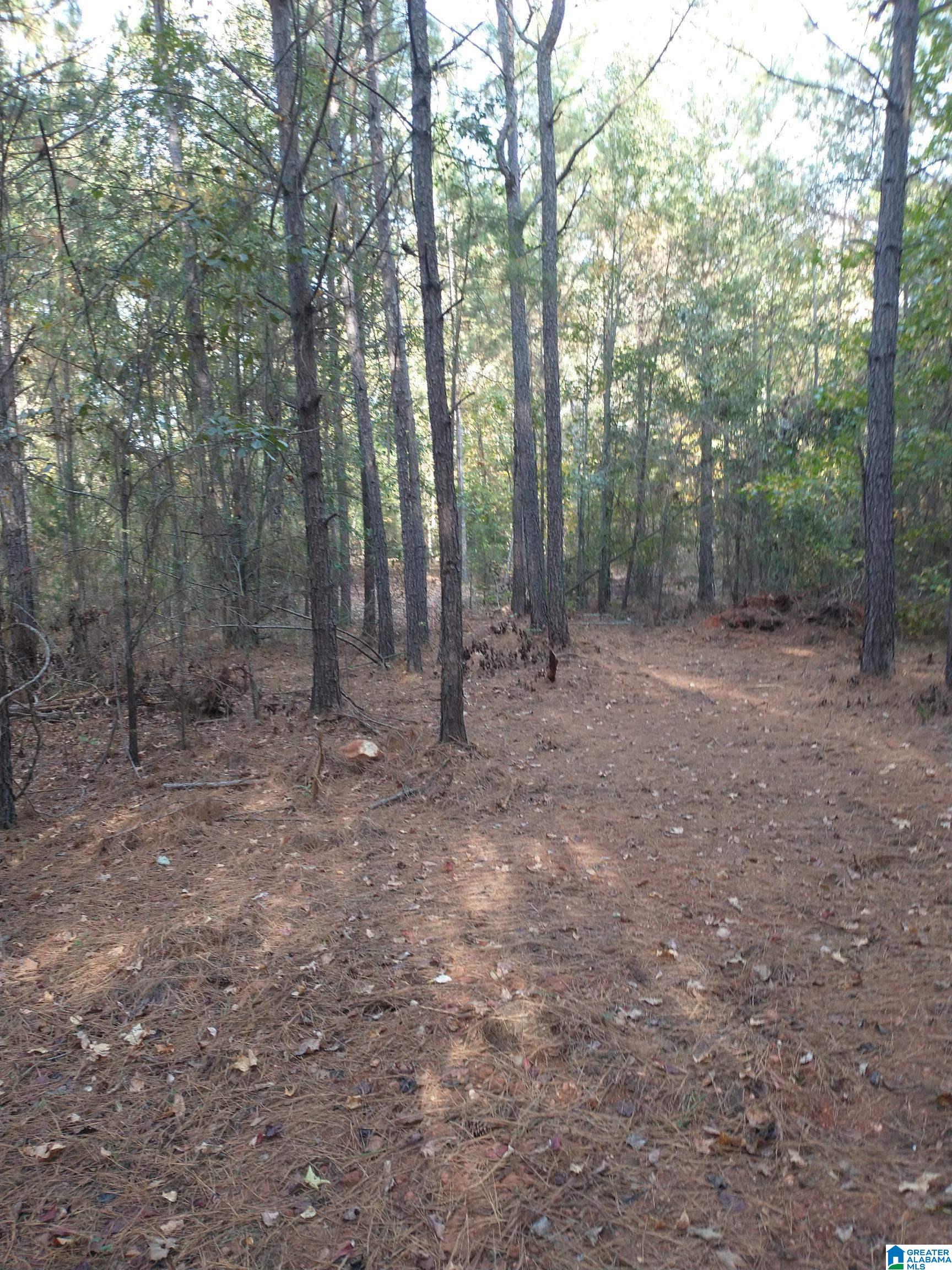 1 Ragans Lane, Unit 51 Talladega, AL 35160 - Photo 10 of 11