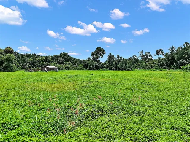a view of a grassy field with an trees