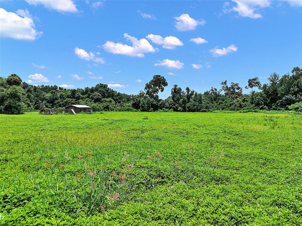15785 Northwest 33rd Terrace Reddick, FL 32686 - Photo 3 of 11 a view of a grassy field with an trees