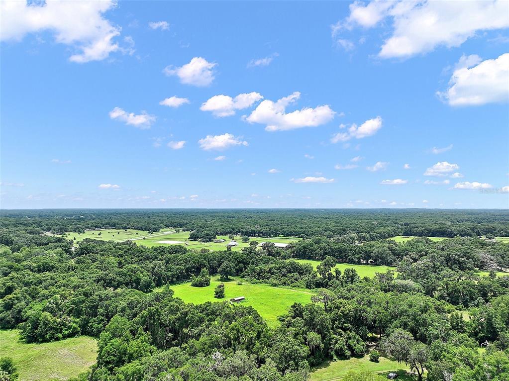 15785 Northwest 33rd Terrace Reddick, FL 32686 - Photo 9 of 11 a view of a big yard with lots of green space