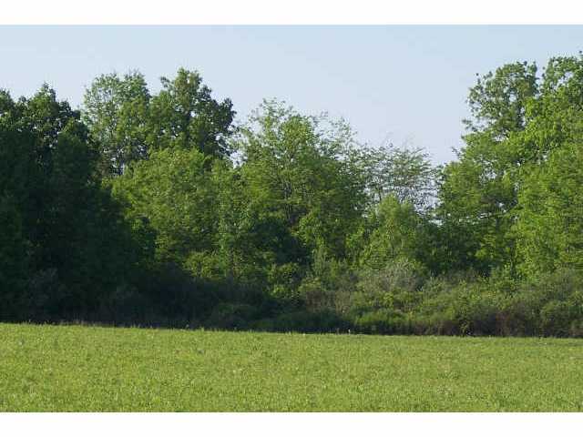 L-a Rt 23 Delaware, OH 43015 - Photo 2 of 4