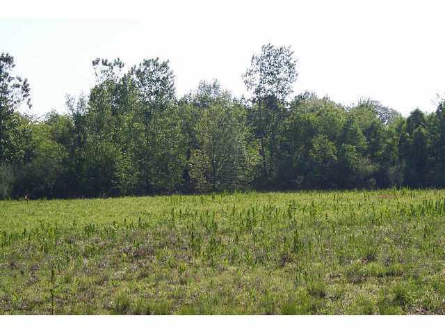 L-a Rt 23 Delaware, OH 43015 - Photo 3 of 4