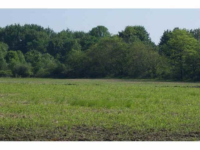 L-a Rt 23 Delaware, OH 43015 - Photo 4 of 4