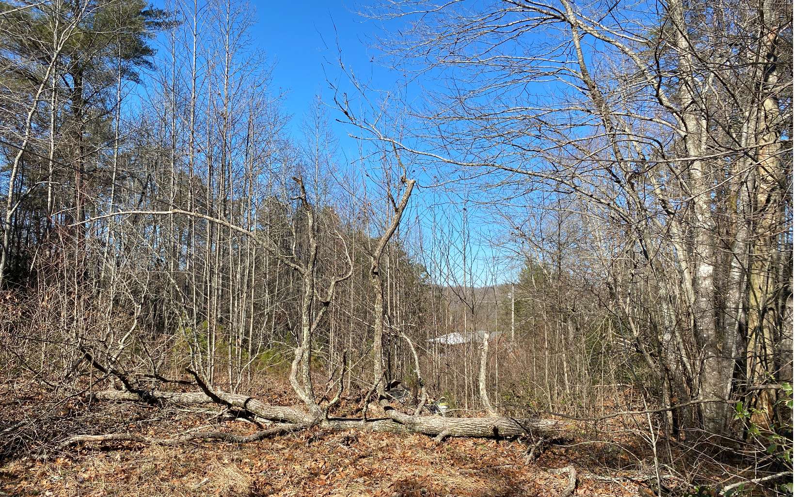 6 B Black Oak Ridge Blue Ridge, GA 30513 - Photo 3 of 4 Additional View