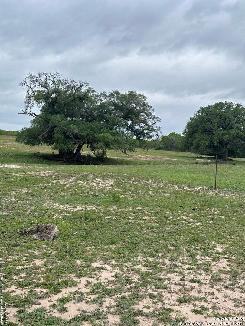 Tbd (tr 5 West Gates Valley Road Poteet, TX 78065 - Photo 4 of 6