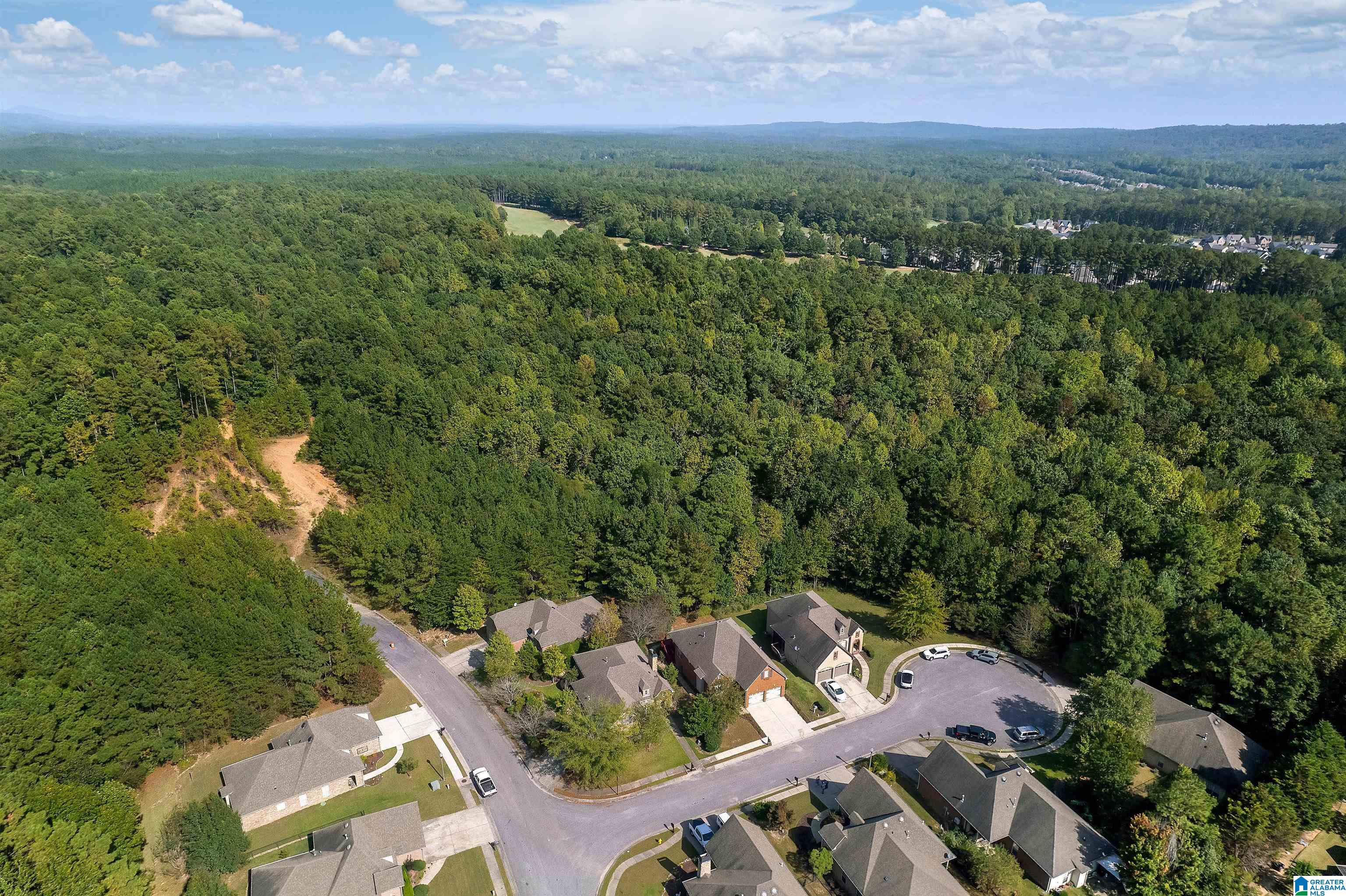 1125 Weybridge Way Pelham, AL 35124 - Photo 31 of 32