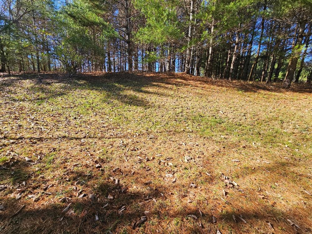 1801 Fulton Road Independence, VA 24348 - Photo 1 of 13 Gallery Image 1