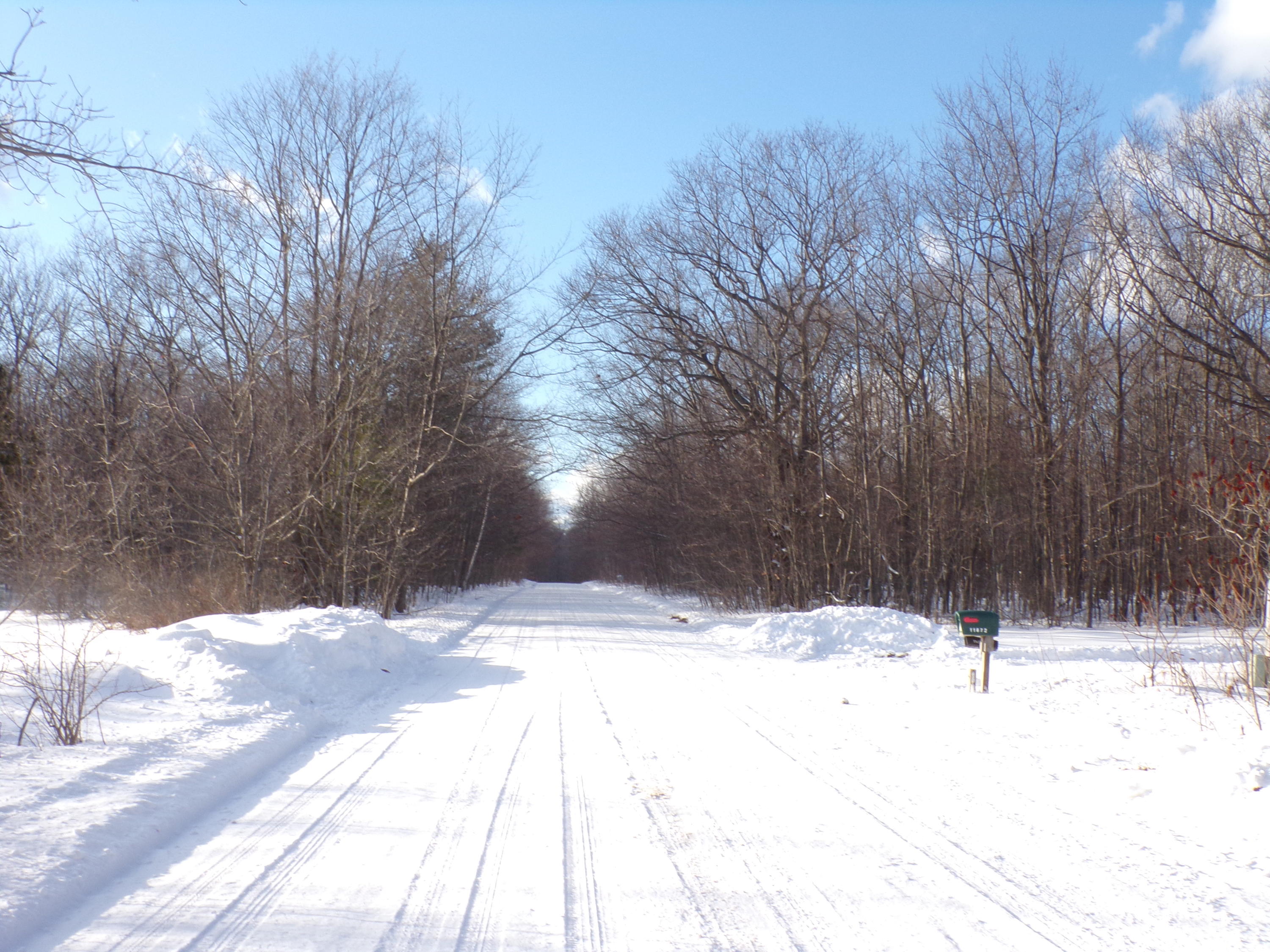Maple Road Carp Lake, MI 49718 - Photo 3 of 4 Gallery Image 3