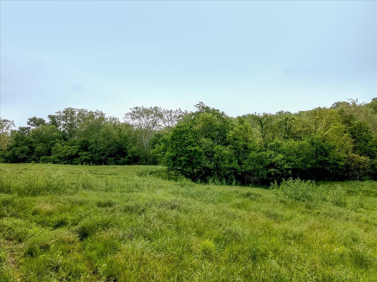 3816 Switzer Road Frankfort, KY 40601 - Photo 7 of 13 06-1-6
