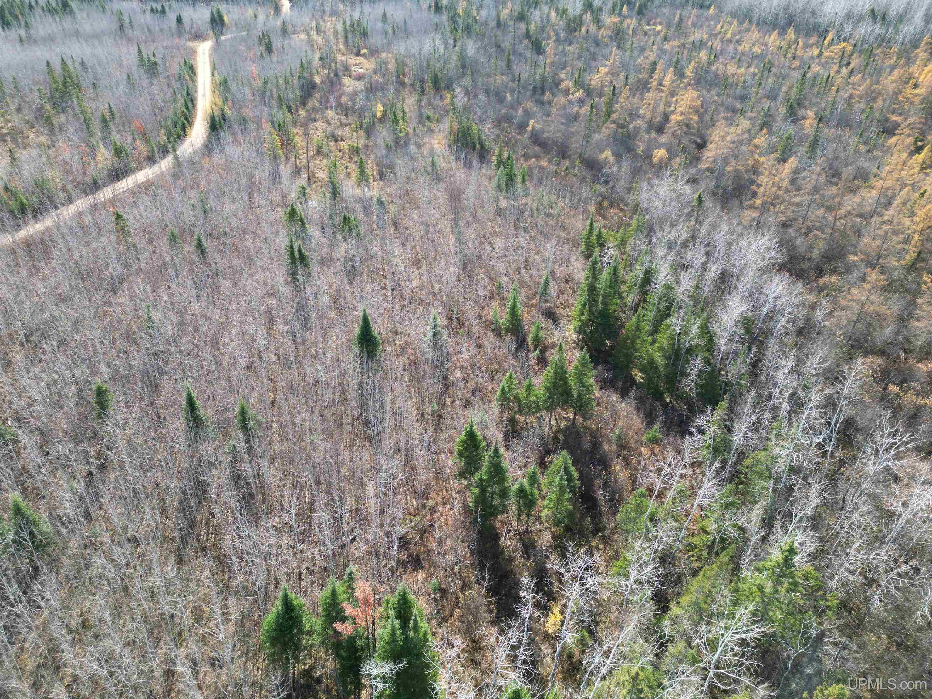27.5 Rd 52 Ac Trail Gladstone, MI 49837 - Photo 2 of 20