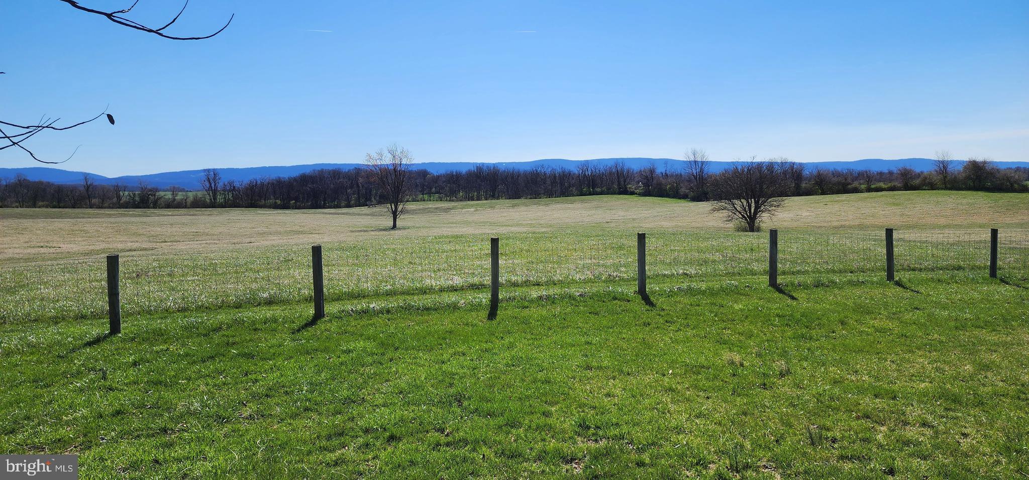 1074 Berrys Ferry Road White Post, VA 22663 - Photo 23 of 23 Beautiful Setting