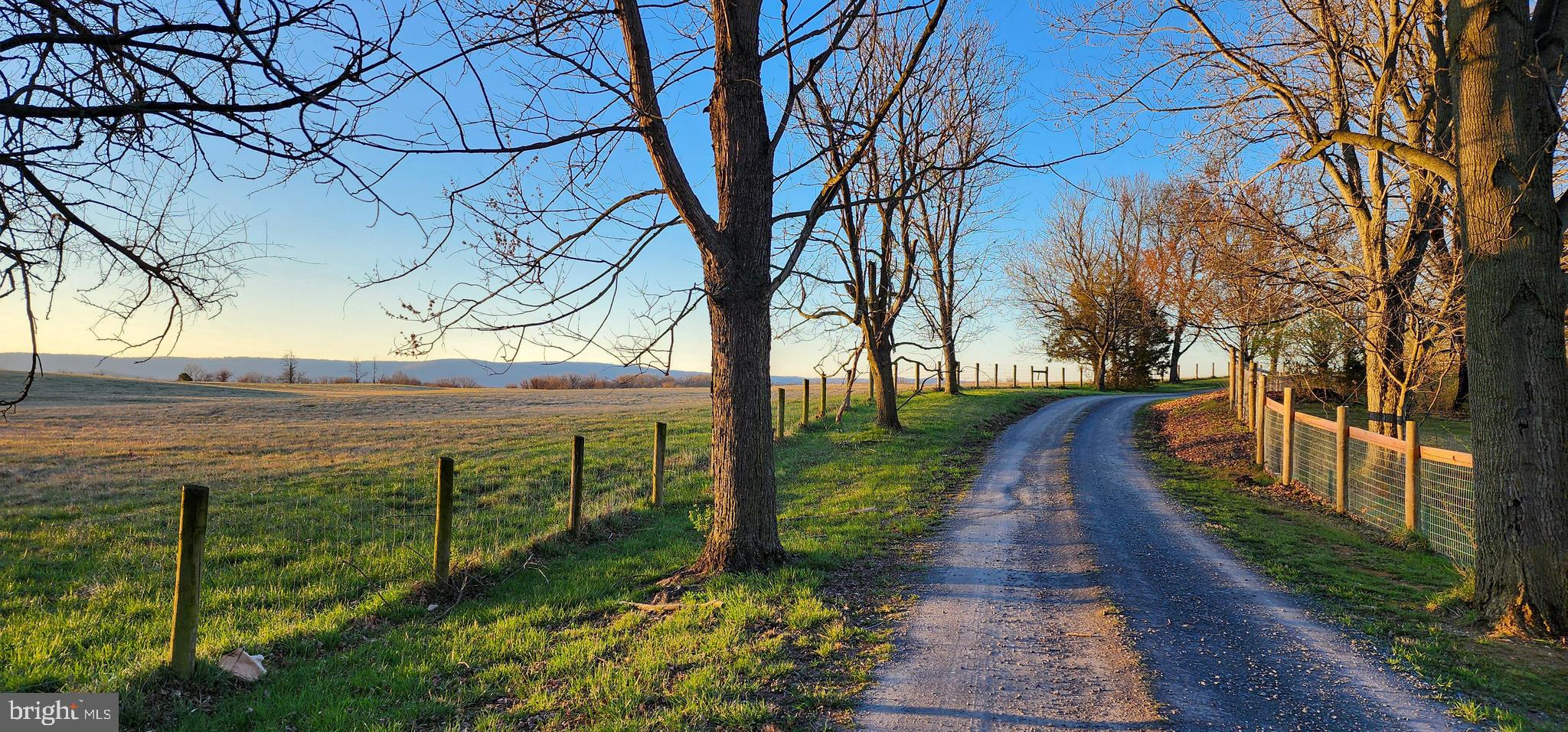 1074 Berrys Ferry Road White Post, VA 22663 - Photo 4 of 23 Scenic tree lined driveway