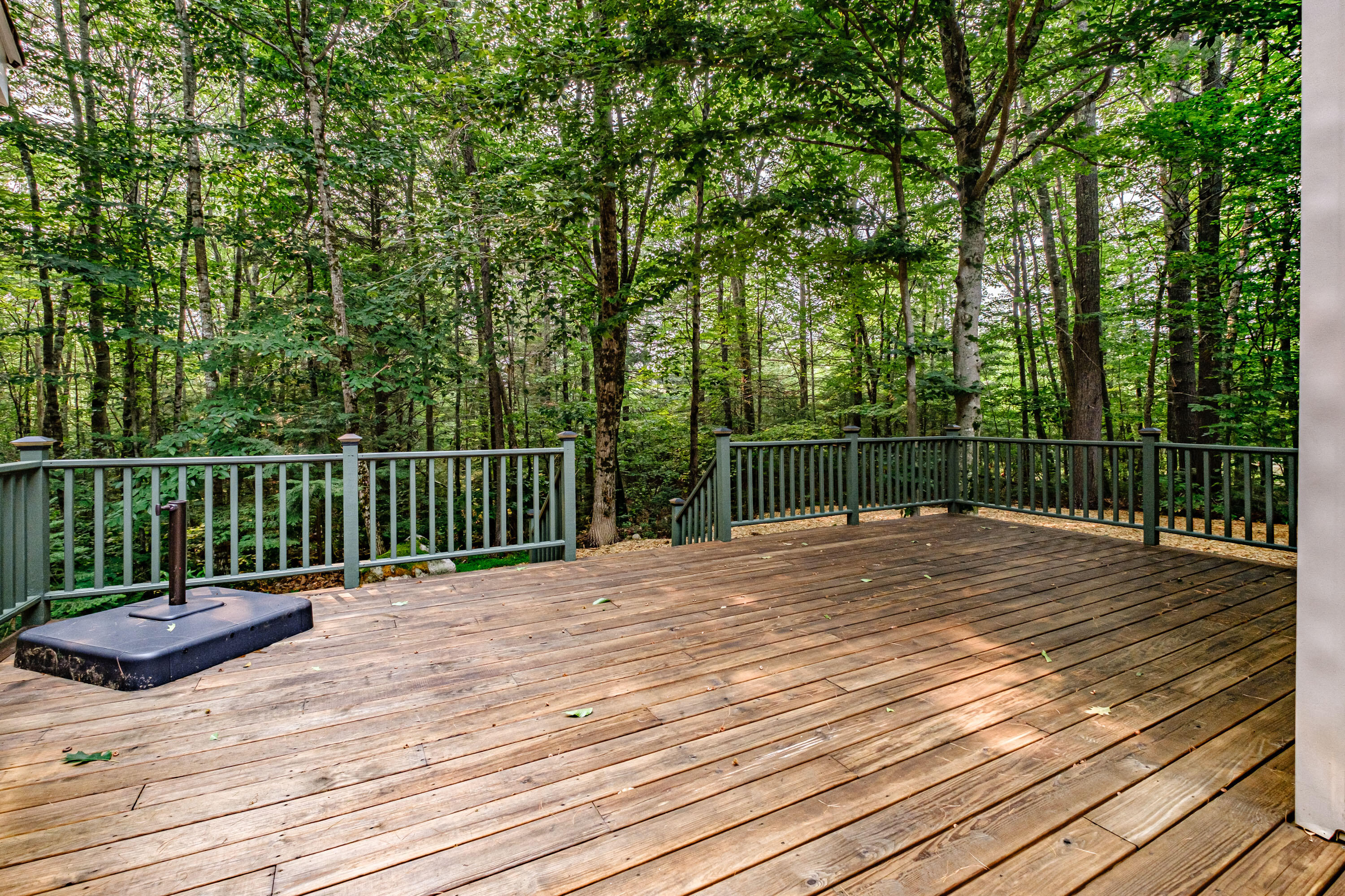 83 Moose Cove Lodge Road Sebago, ME 04029 - Photo 47 of 64 20210726mvht-64041