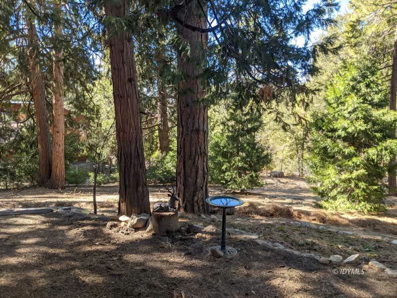 25915 Wayne Road Idyllwild, CA 92549 - Photo 48 of 69 a view of a park with large trees