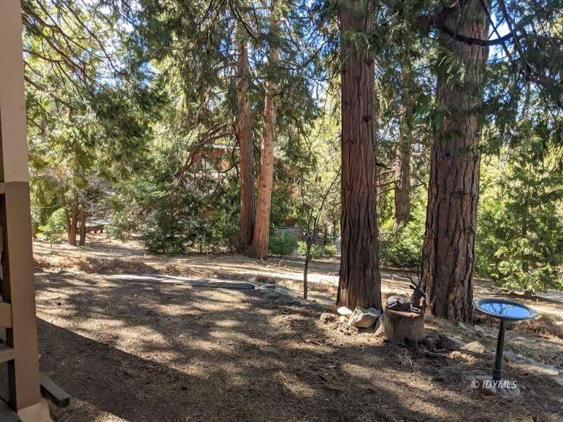25915 Wayne Road Idyllwild, CA 92549 - Photo 49 of 69 a view of a trees in a yard