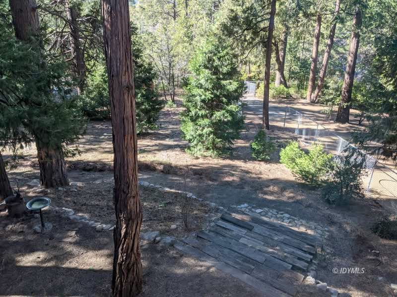 25915 Wayne Road Idyllwild, CA 92549 - Photo 58 of 69 a view of a yard with large tree