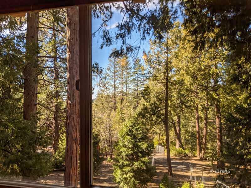25915 Wayne Road Idyllwild, CA 92549 - Photo 59 of 69 a view of a window with tree in the background